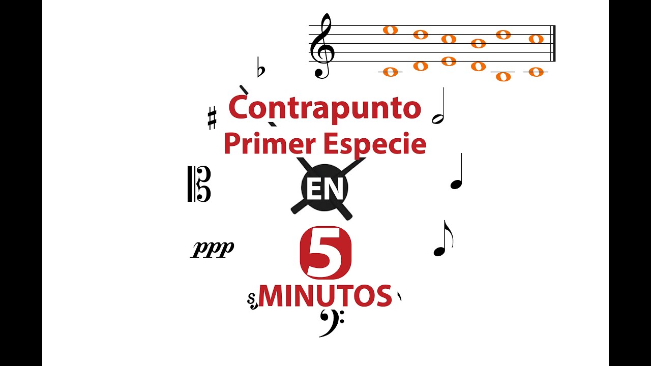 Contrapunto Primer Especie En 5 Minutos