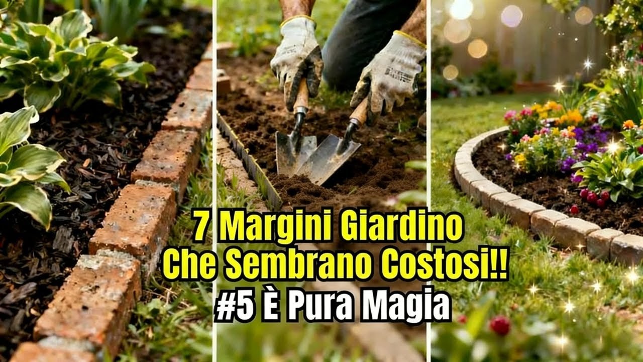 7 bordure fai-da-te facili che rendono il giardino lussuoso (Il n. 5 &egrave; pura magia!)