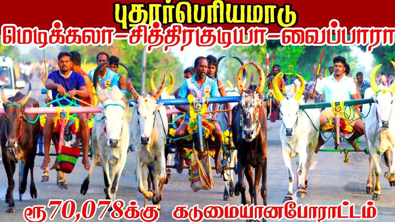 புதூர் பெரியமாடு பந்தயம் 26.02.2026