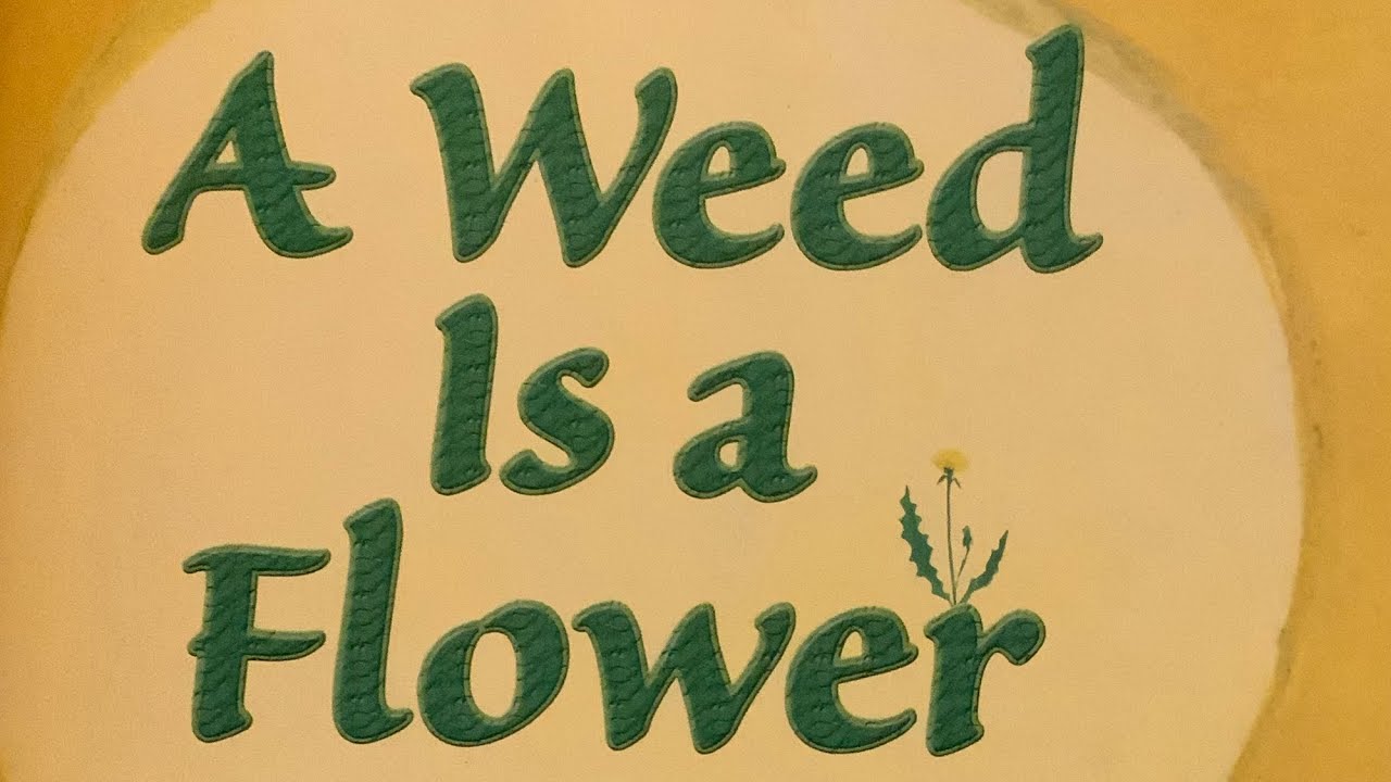A Weed Is a Flower By Aliki Read Aloud