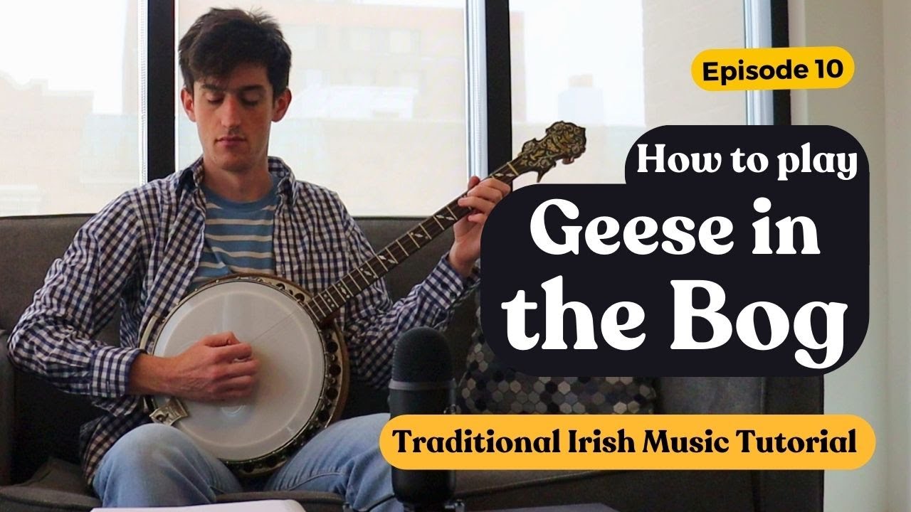 Learn Geese in the Bog - Irish Music Tutorial by James Finnegan