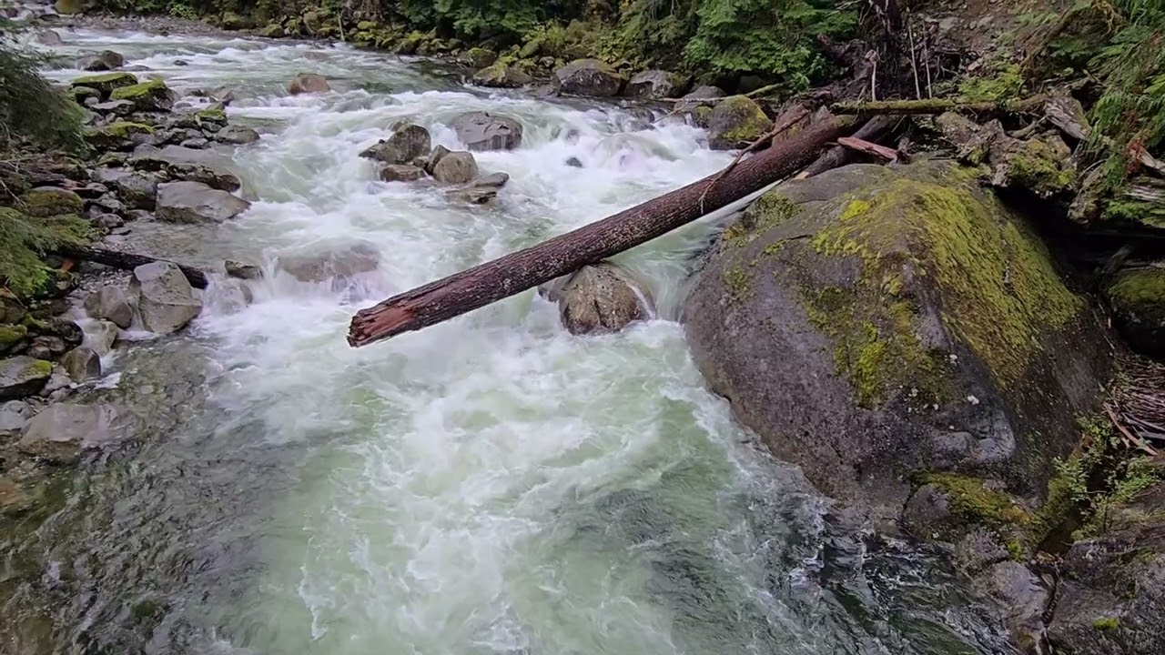 Middle Fork Trail Run - Oct 2024