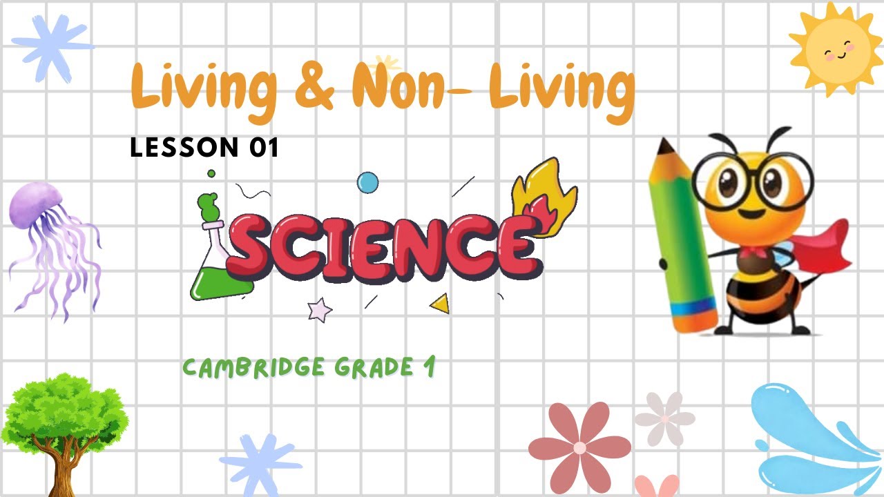 Cambridge Grade 1 Science Lesson 01 | Living & Non-Living | Study Bee