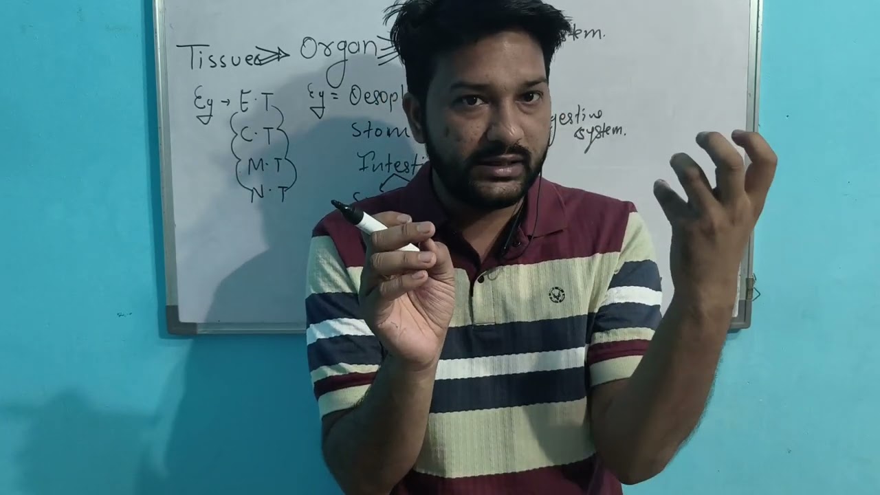 02- lacture Human Physiology | Complete Introduction for NEET 2026 | Class 11 Biology