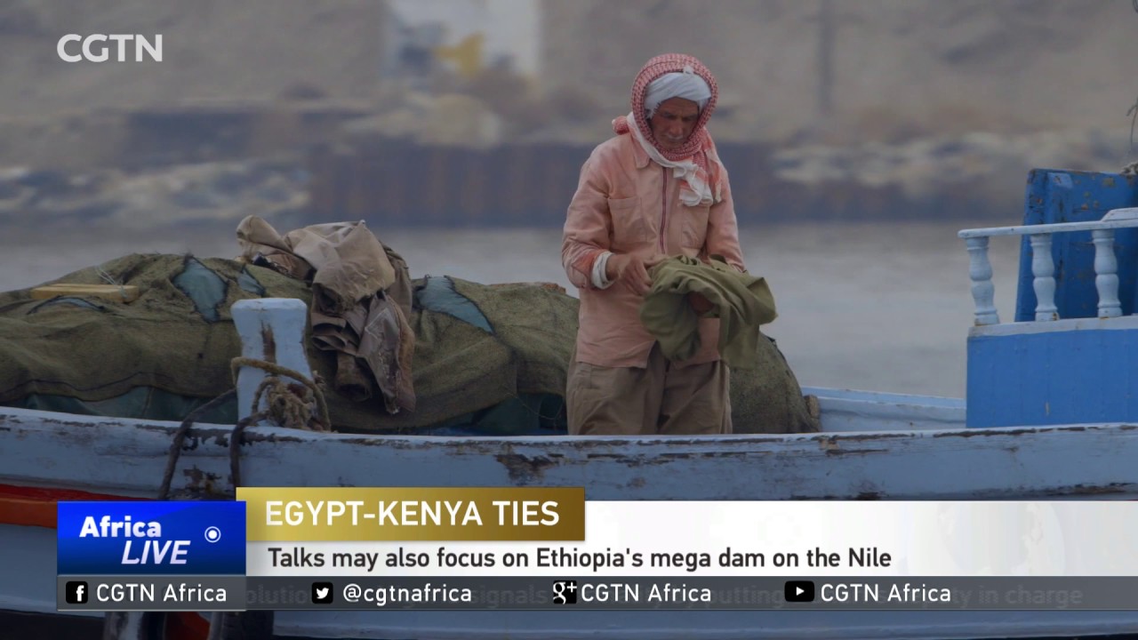 INTERVIEW: Egyptian President Sisi in Kenya for a state visit