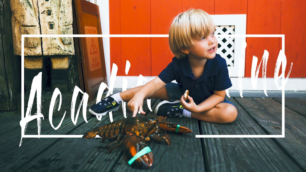 Maine & Acadia | Day 2 | Bar Harbor - Petting a Lobster at Stewmans Lobster Pound!