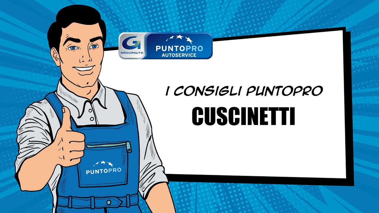 Intro Cuscinetti - PuntoPRO.it