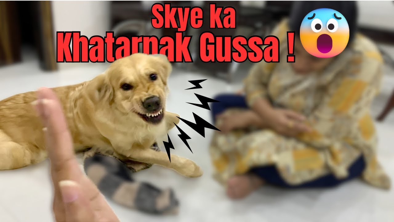 ISKO ACHANAK KYA HO JAATA HAI ?🙄😳