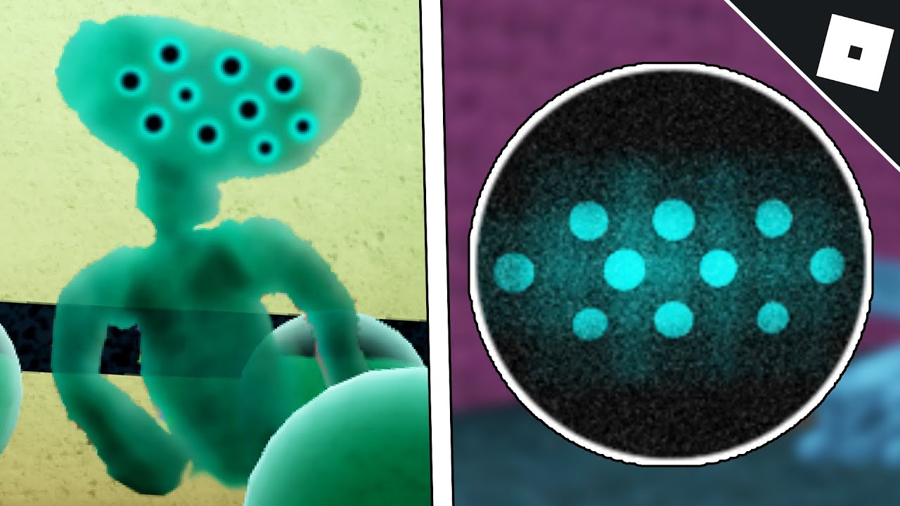 How to get the VECTOR BEAR SKIN AND VECTOR VALIDATION BADGE in BEAR* AND THE BEAR MUSEUM | Roblox