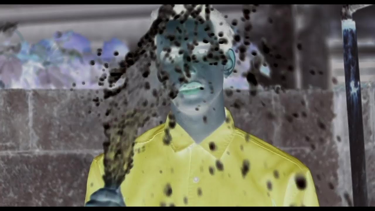 Sitcom - Still Life (music video)