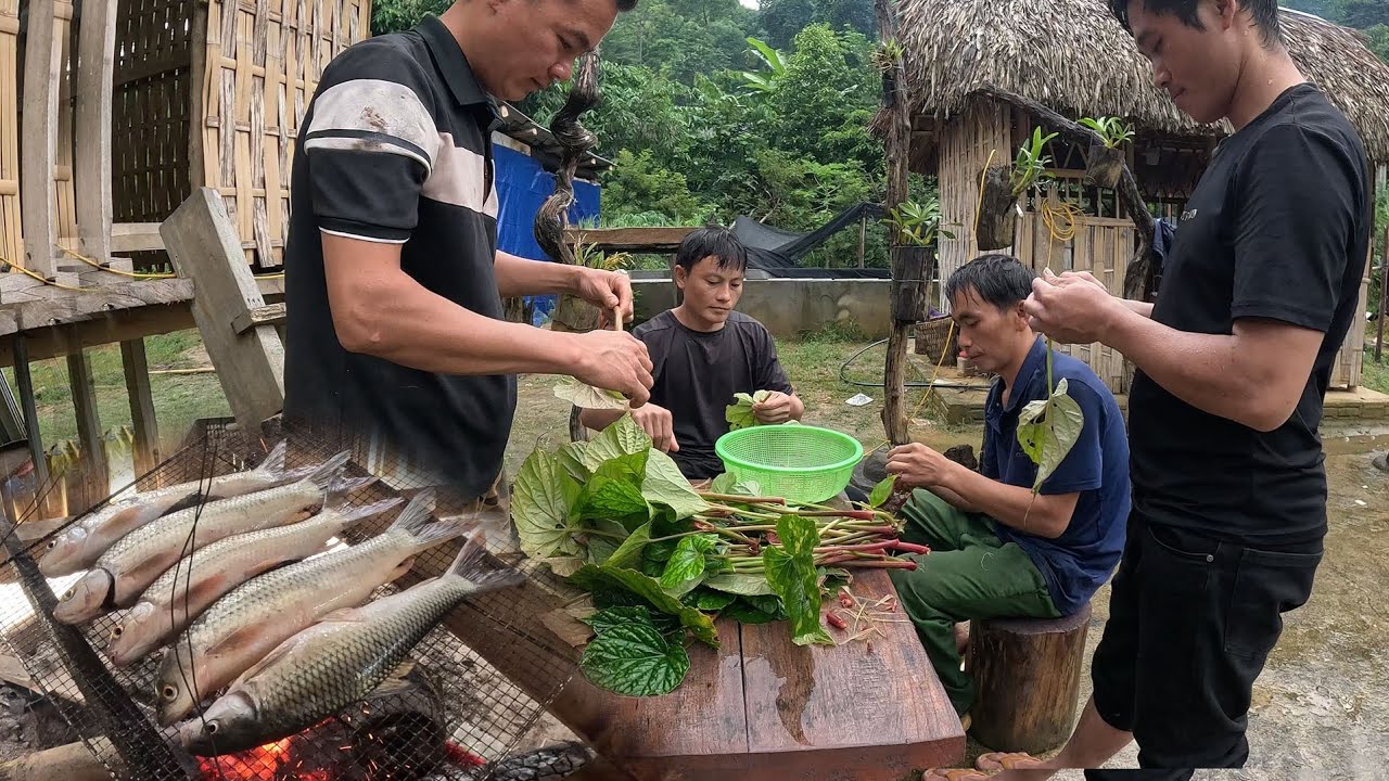 Gặp gỡ nhau trong ngày mưa, tay không bắt cá, cuộc sống tự nhiên