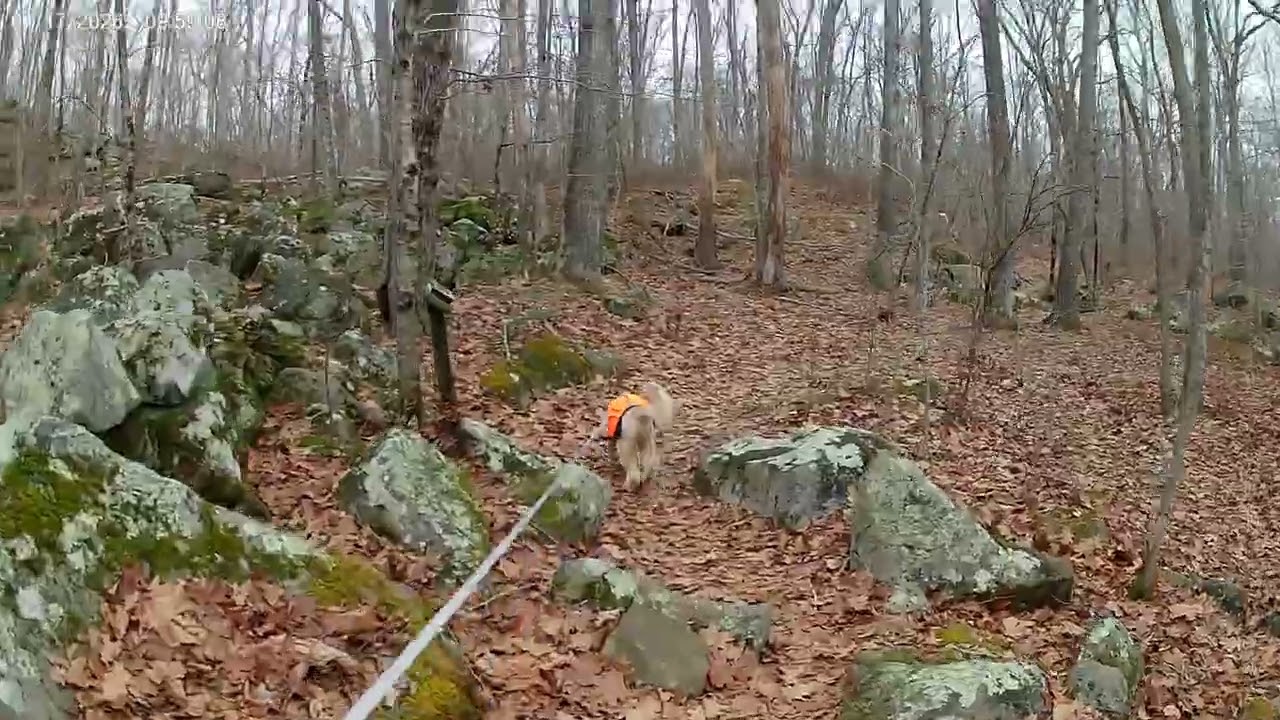 Crawley Preserve part 3