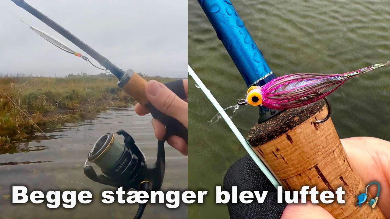 Spin og Flue hav&oslash;rred fiskeri