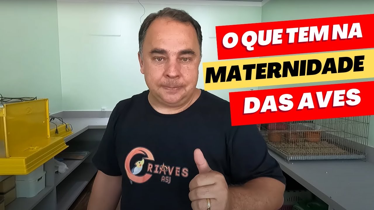 VLOG NA MATERNIDADE DO CRIATÓRIO DO REI DAS AVES  [PARTE 01]