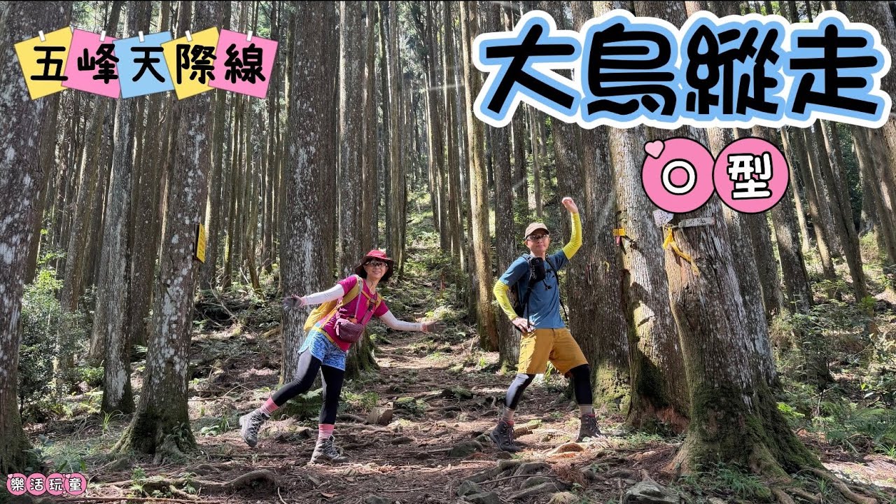 大鳥縱走O型|大窩山|鳥嘴山|五峰天際線[樂活玩童NO.219]2025/10/08