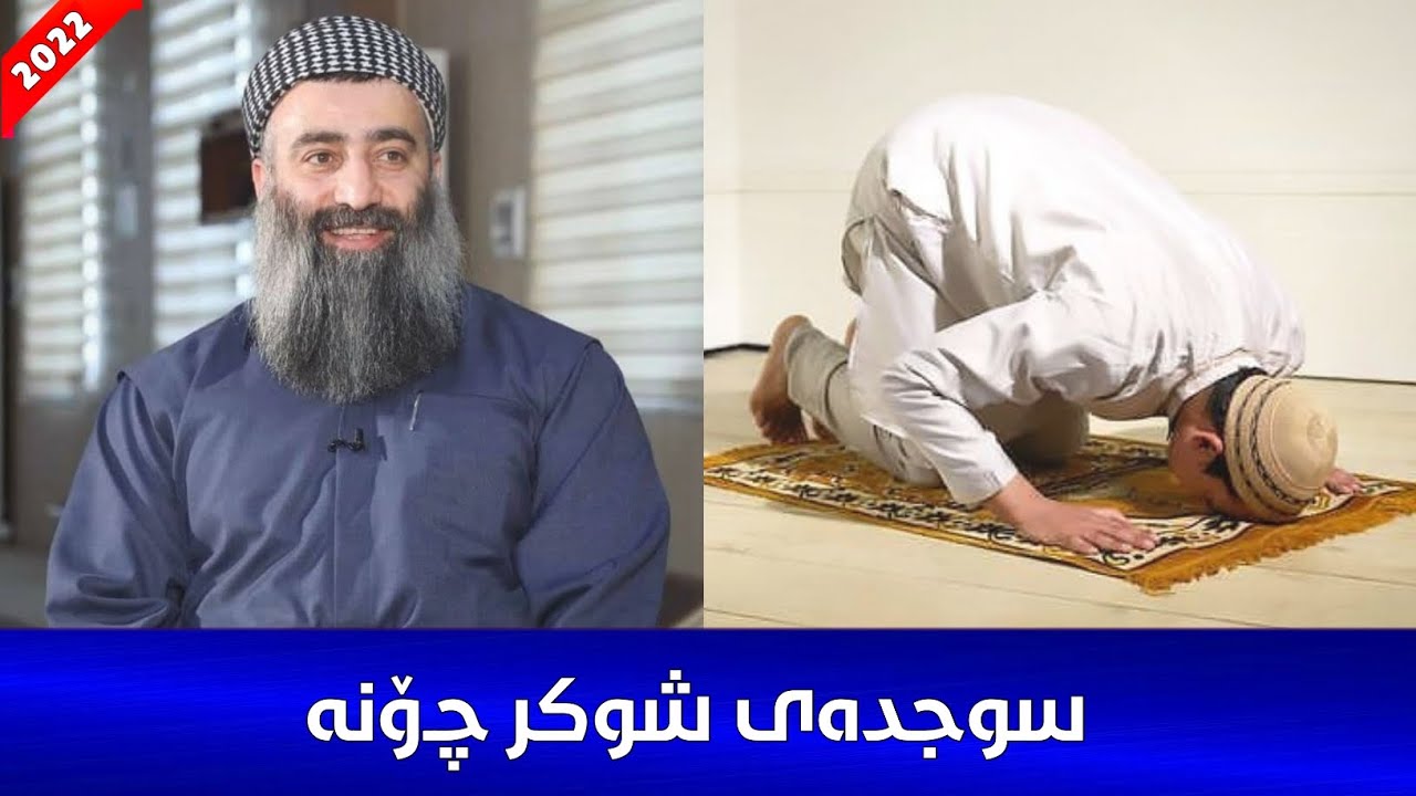 سوجدەی تیلاوە و سوجدەی شوکر و سوجدەی سەهو چۆنن؟ مامۆستا هەڵۆ mamosta halo