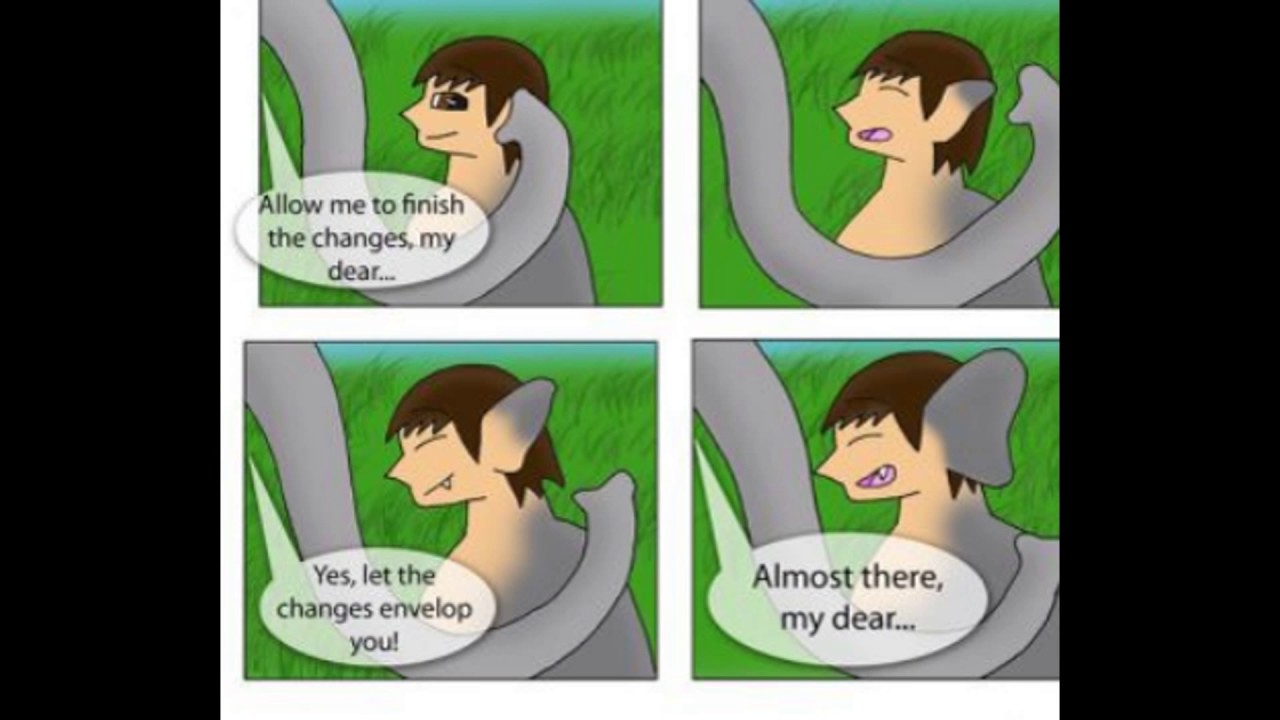 Elephant Tf