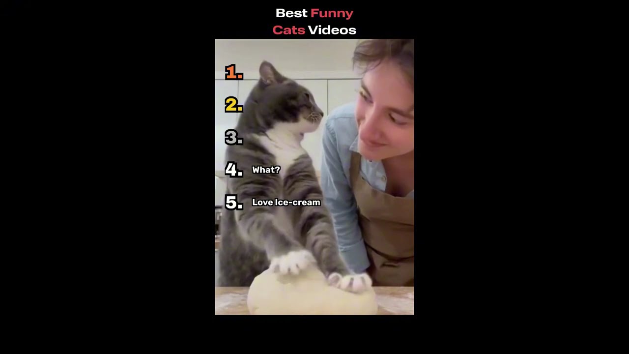 TRY NOT TO REACT COMPILATION😂😂 #1