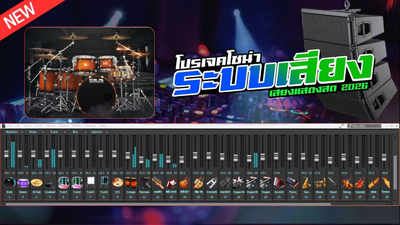 โปรเจค - โซน่า ระบบเสียง แสดงสด COVER 2026