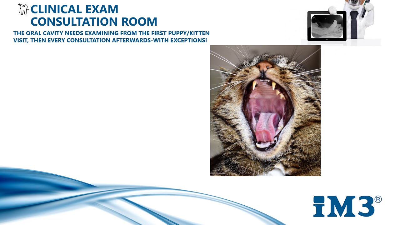 Vet Dentistry for Vet Nurses - 1 - Oral Clinical Examination