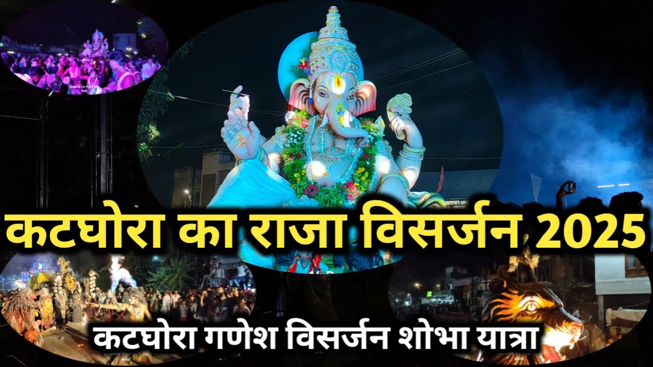 कटघोरा का राजा विसर्जन 2025 | katghora ka raja visarjan 2025 | katghora ka raja | sunil yadav korba