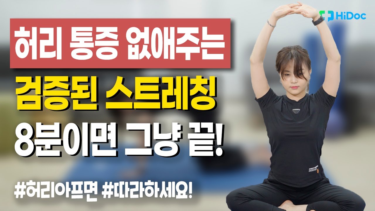 과학적으로 검증된 허리 스트레칭! 8분이면 그냥 끝! 허리 아프신 분들 필독!