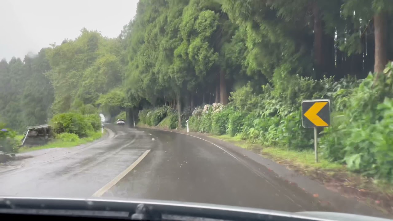 Driving In Terceira Azores