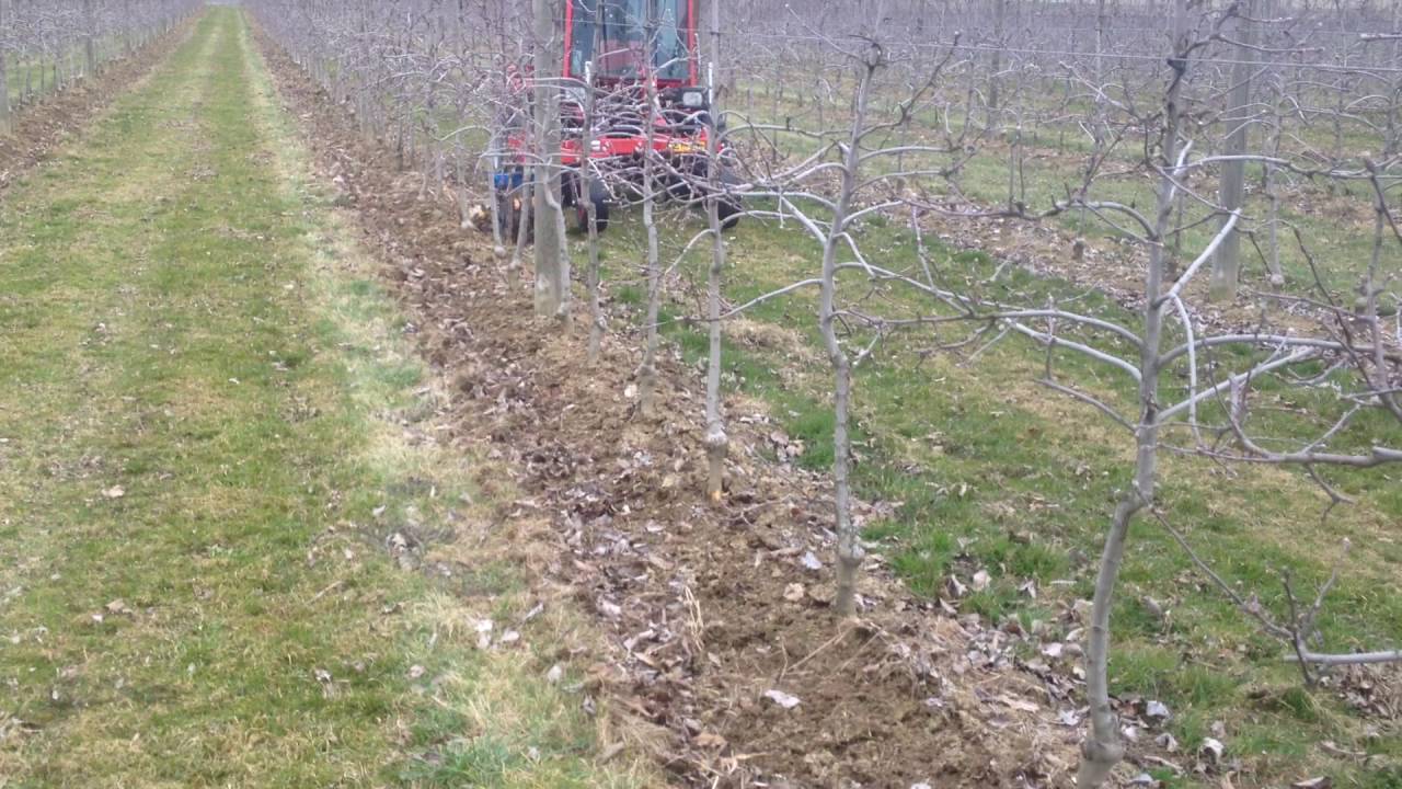 K.U.L.T Fingerhacke und Rollhacke im Obstbau