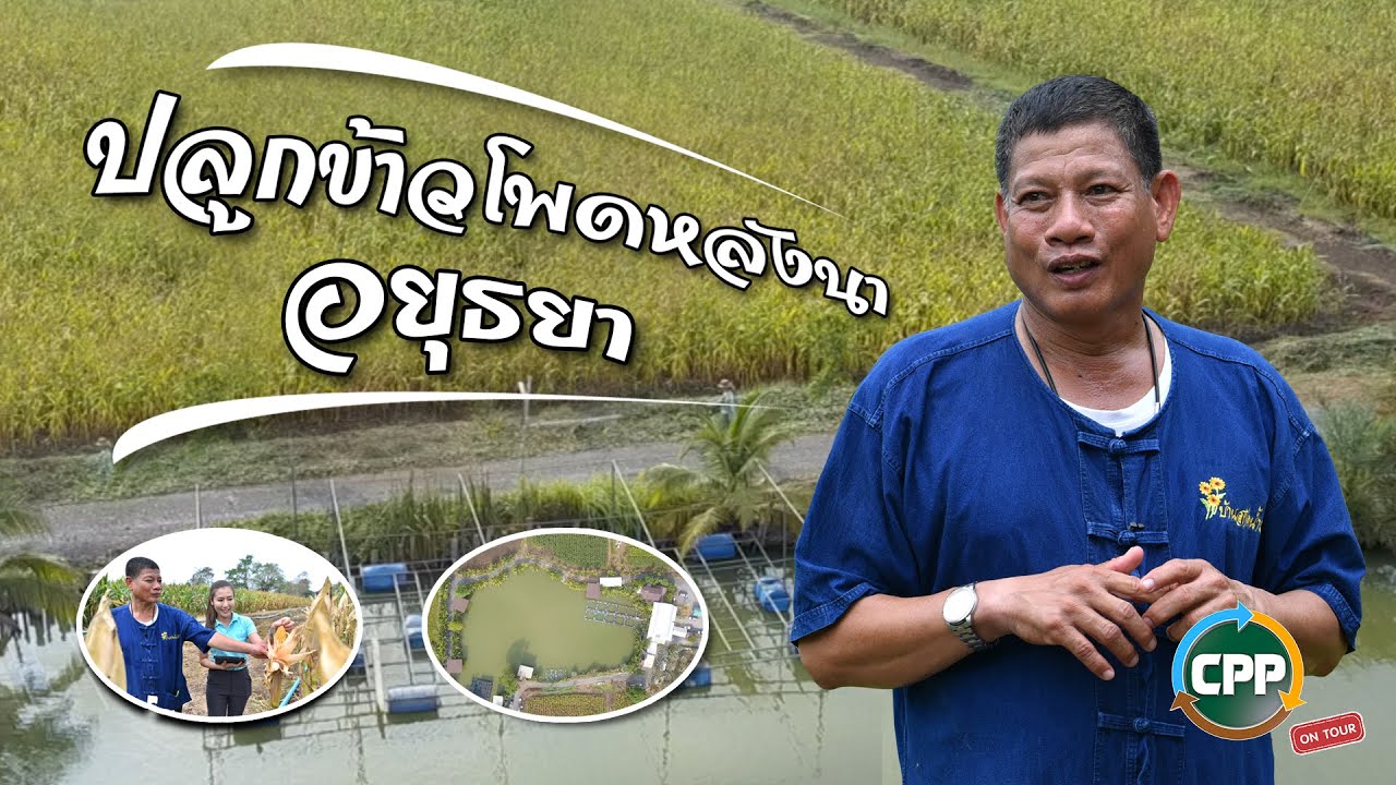 CPP Talk On Tour EP.6 : ปลูกข้าวโพดหลังนาอยุธยา