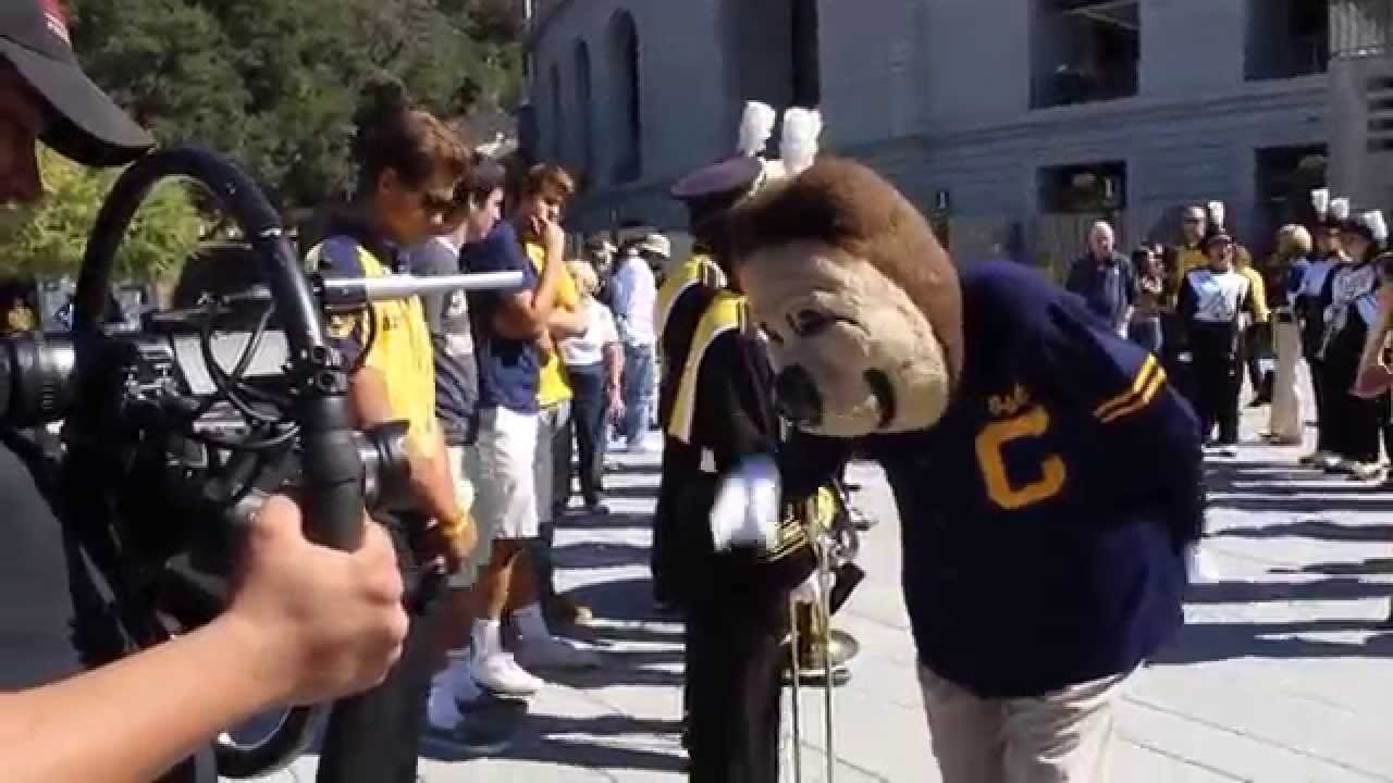 Oski Bear - at Memorial staduim for March to Victory 10/11/14