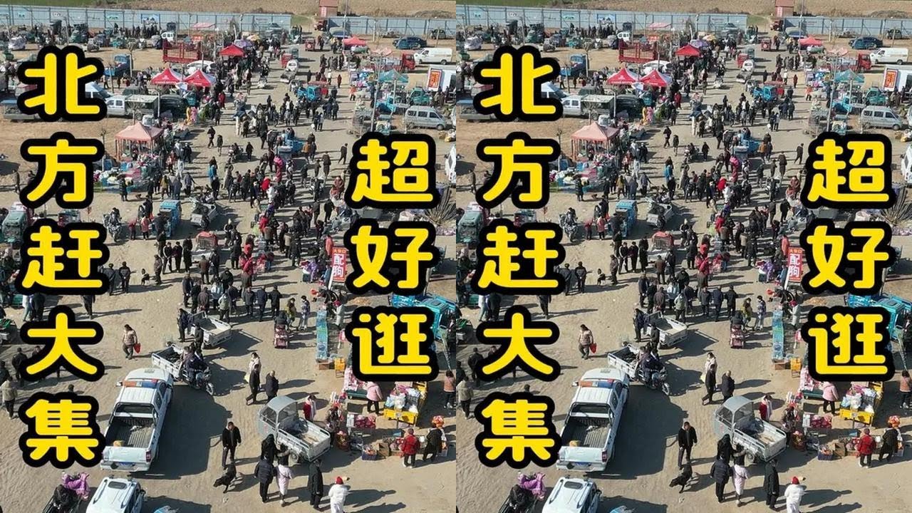 一直听说北方大集很热闹，直到今天来了徐州…… #北方大集 #安徽  #风歌哥哥  #人间烟火 #赶大集有多幸福