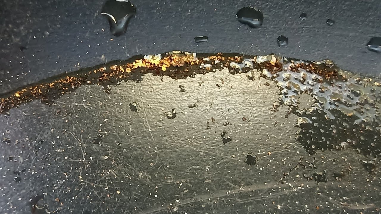 Whipstick gold speci's Nov 2022 #gold #prospecting #Victoria #australia