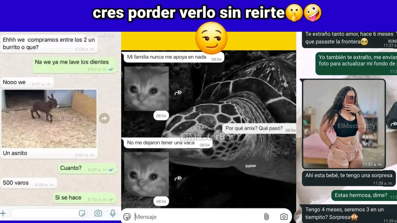 🤯Conversaciones Graciosas de Whatsapp😂(video de risa)#2 