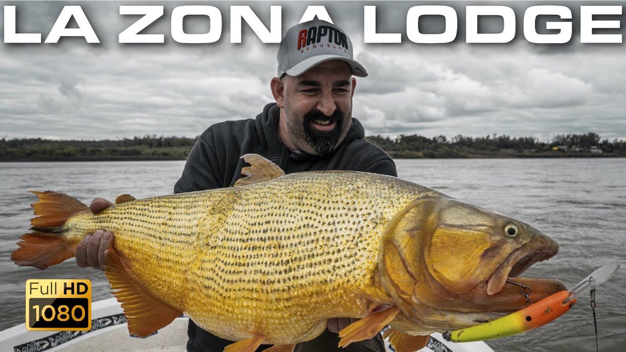 DORADOS GIGANTES en la Zona Lodge!