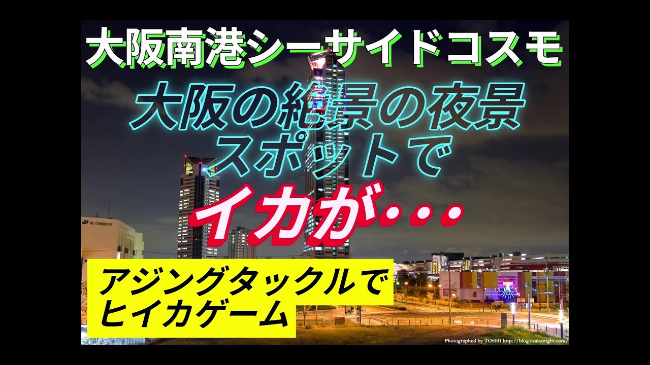 【南港シーサイドコスモ】大阪市内のこんな所でイカが･･･！？#大阪#ヒイカ#エギング#アジング