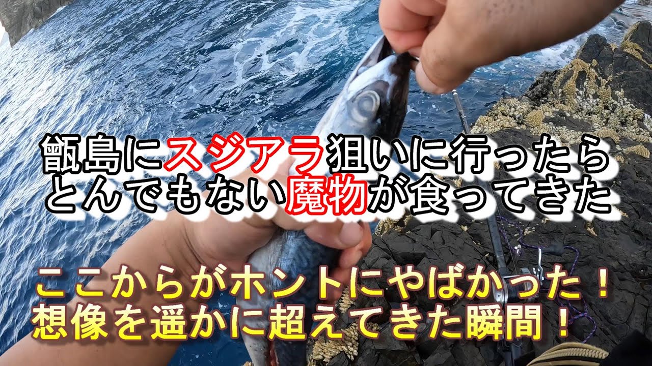 アラはアラでも！魔物がくってきて想像を遥かに超えてきた甑島