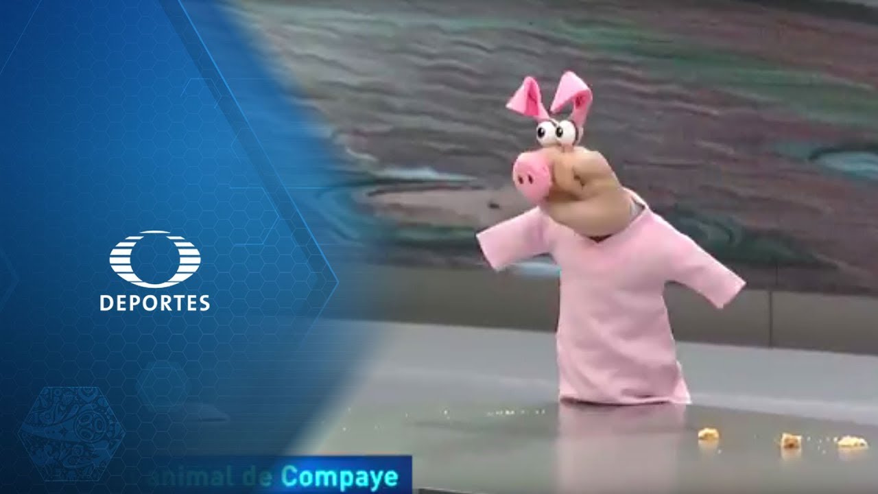 El Puerco | El animal de Compaye | La Jugada del Mundial