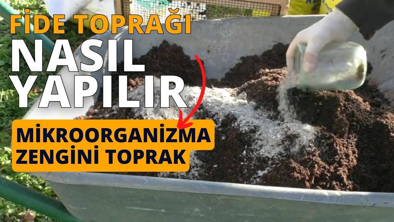 FİDELER için muhteşem bir karışım II fide yetiştirme toprağı