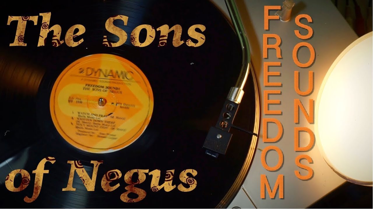 Ras Michael and the Sons of Negus - Freedom Sounds | 12“ Dynamic 1974