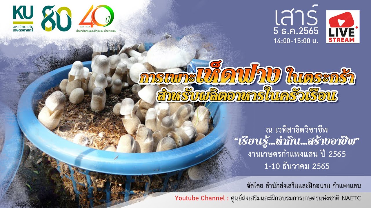 LIVE : การเพาะเห็ดฟางในตระกร้า สำหรับผลิตอาหารในครัวเรือน
