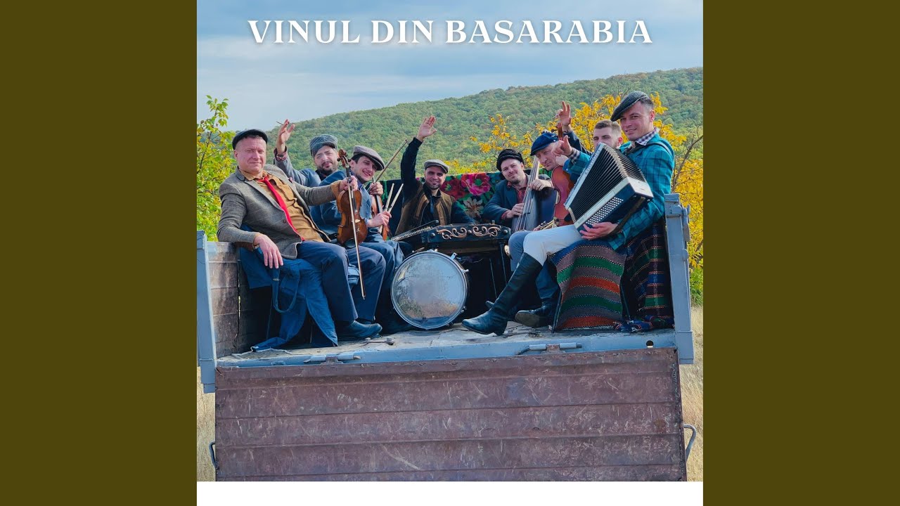 Vinul din Basarabia (feat. Vasile Bogdan) (Radio Edit)