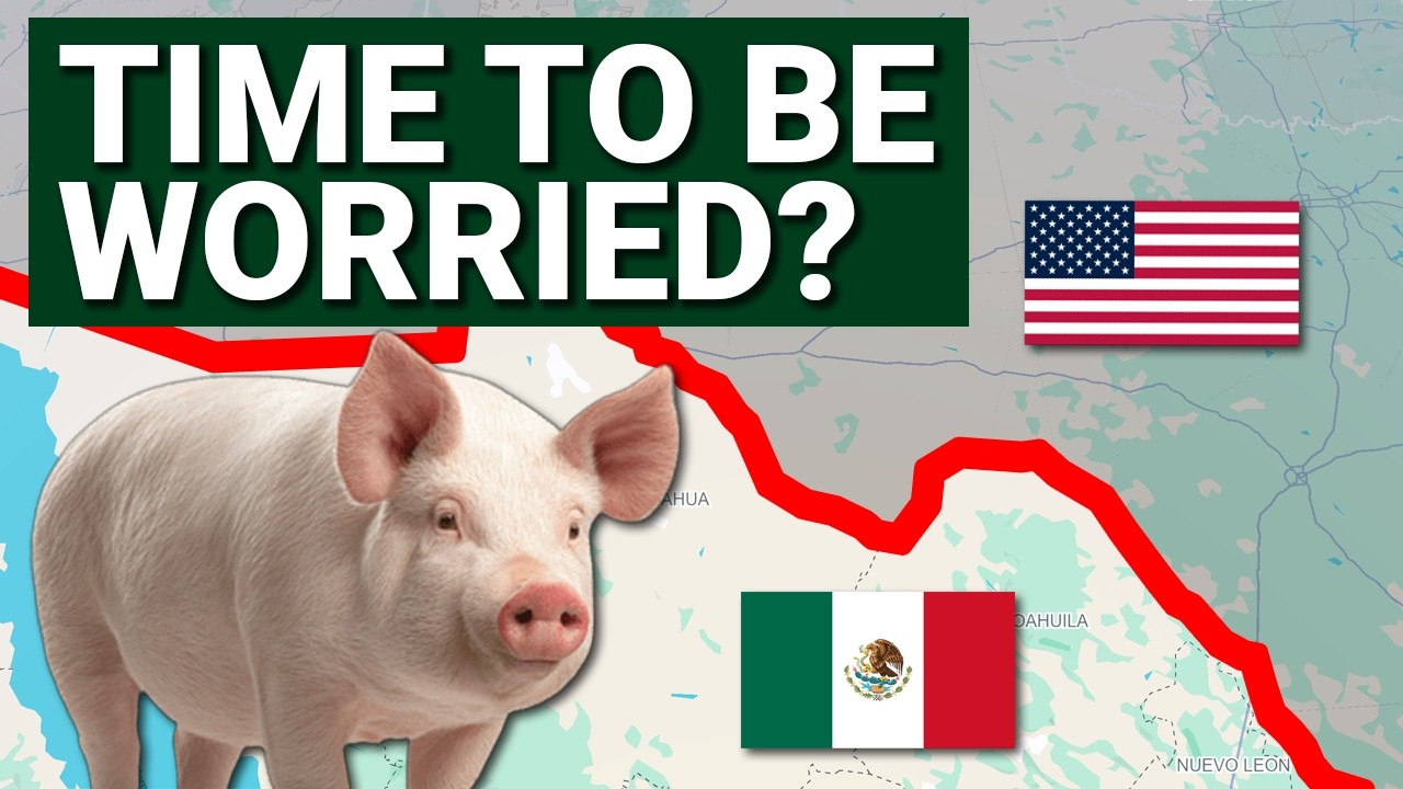 Hog Market Prepares for Mexico Trade Talks | Hog Talk February 17th, 2026