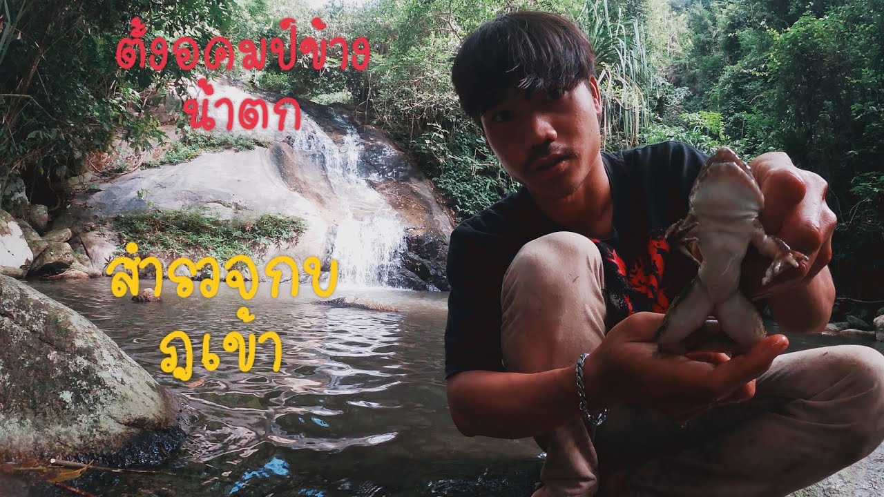 ตั้งแคมป์ข้างน้ำตกตอนดึกสำรวจกบภูเขา