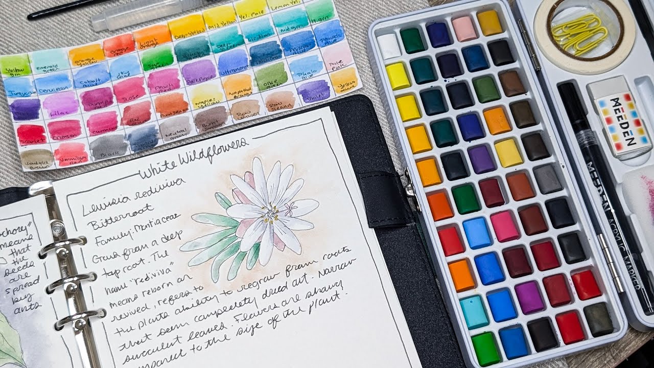 MEEDEN ART 50 color Watercolor Paint Set REVIEW