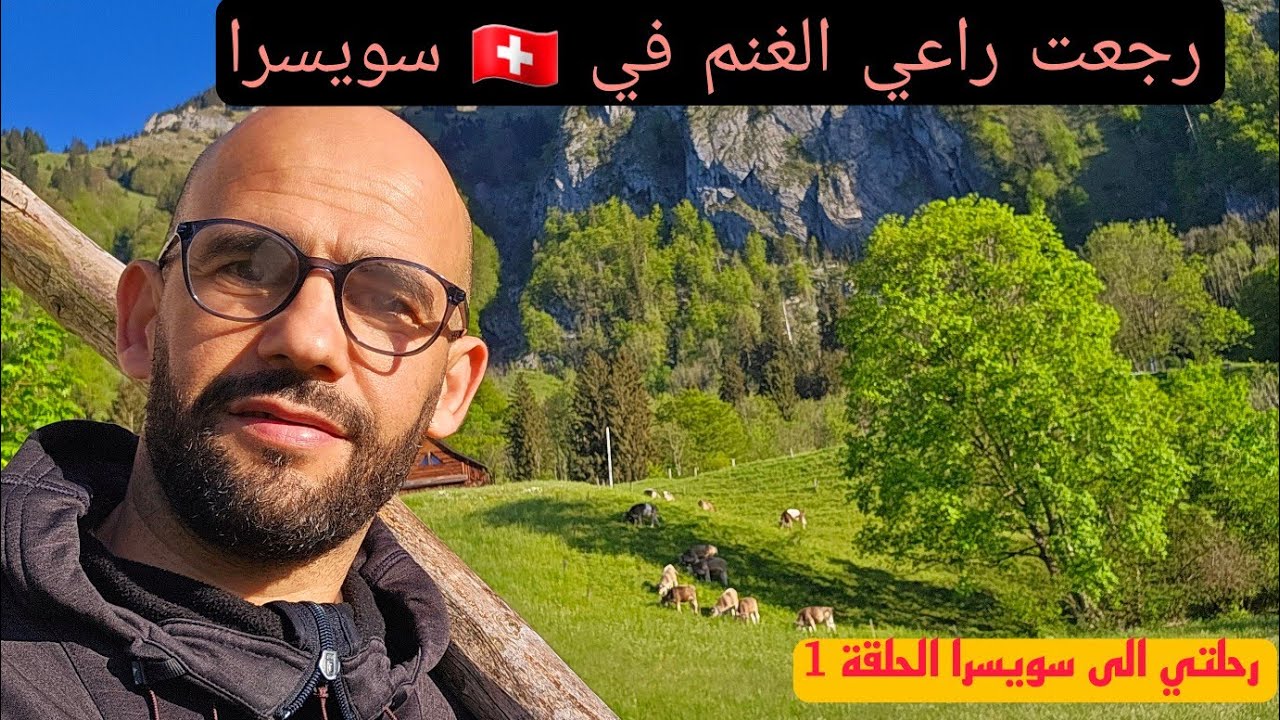 تلاقيت راعي الغنم في سويسرا حبيت نخدم معاه..
