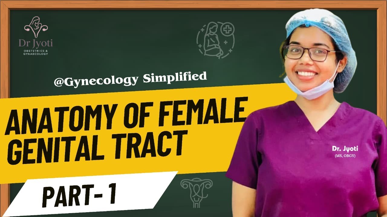 ANATOMY OF EXTERNAL GENITALIA(L-1) II GYNAECOLOGY SIMPLIFIED II DR. JYOTI