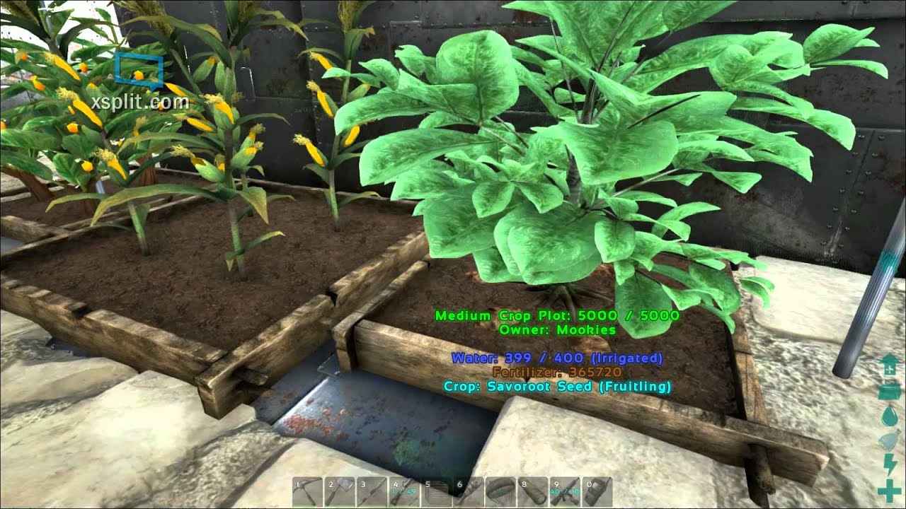 Обновление 223.2 для ARK Survival Evolved: Выращивание цитронала, чаворута, каменной моркови и длинной травы