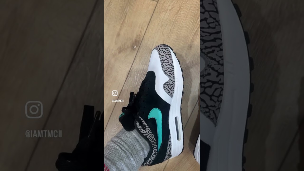 Air Max 1 x atmos