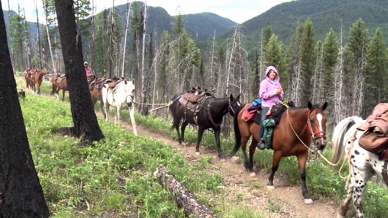 Wilderness Act