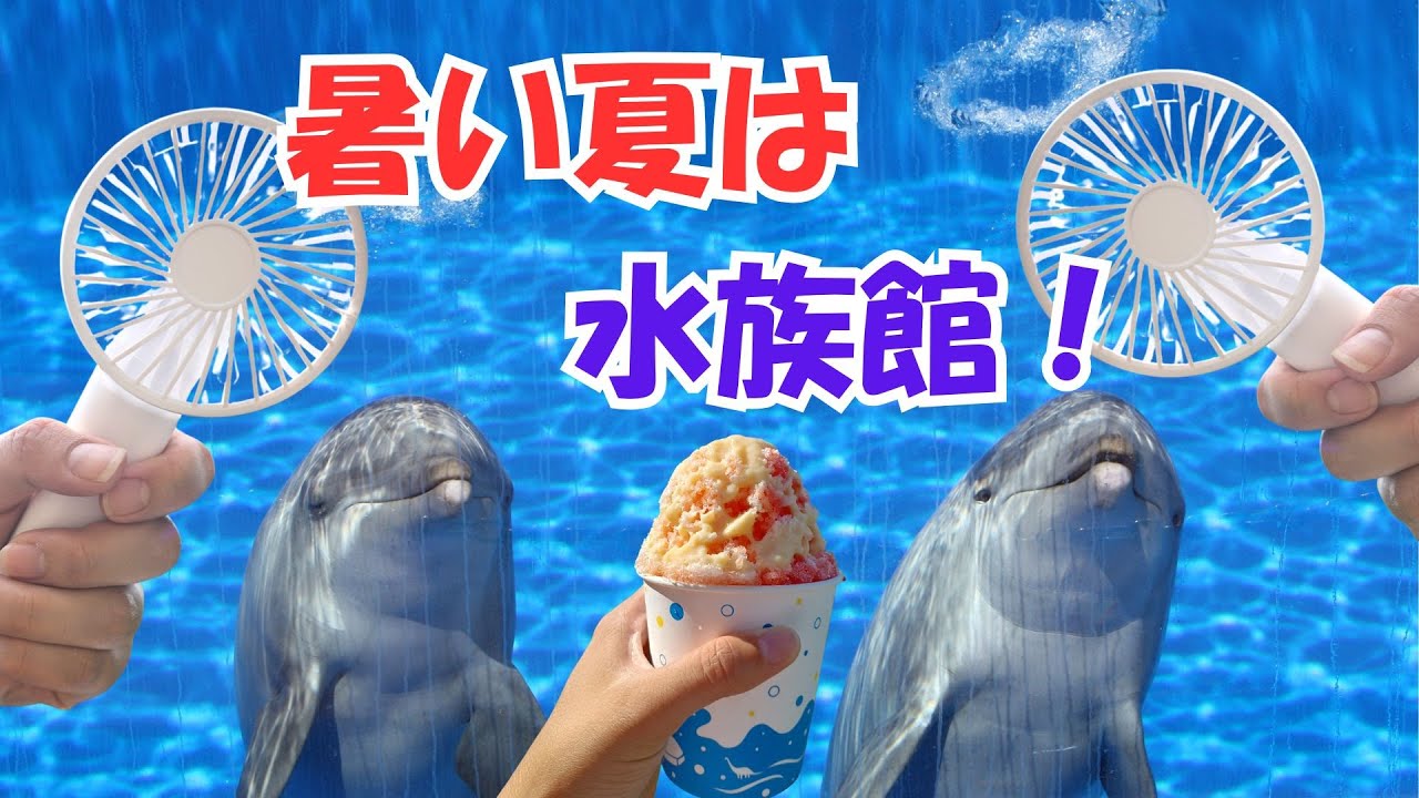 水族館めぐり